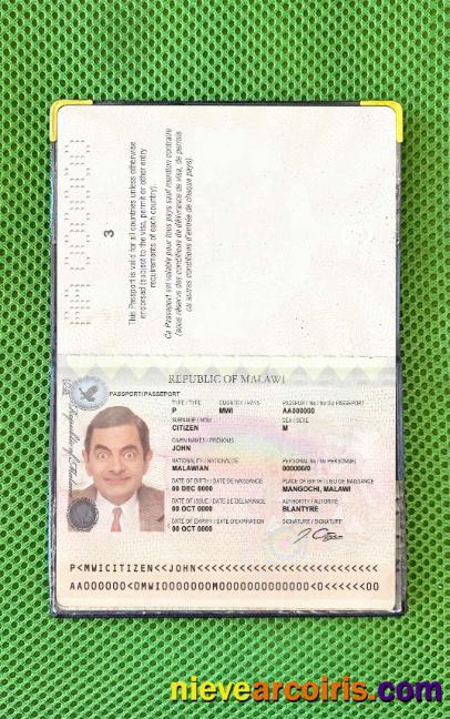 Malawi passport photolook